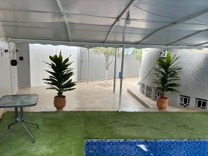 梅克内斯Dar el kebira的一间有两盆植物的房间,一个帐篷下的椅子