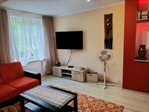 索利纳Apartament TARA的客厅配有红色沙发和平面电视