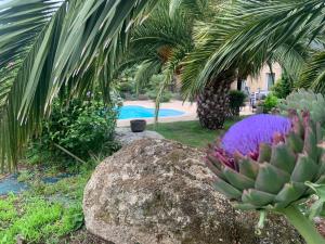 内维兹勒谢恩住宿加早餐旅馆的一座种有岩石和棕榈树的花园以及一个游泳池