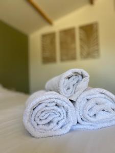 艾马尔格Le Patio, chambres d hôtes pour adultes en Camargue, possibilité de naturisme à la piscine,的床上的一大堆毛巾