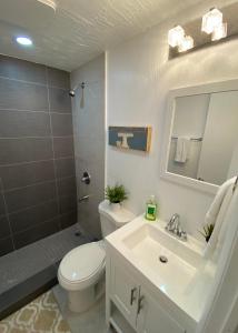 迈阿密海滩Miami Beach Rooms B&B的浴室配有白色卫生间和盥洗盆。
