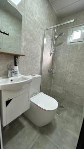 拉戈代希Ludwig Guesthouse的带淋浴、卫生间和盥洗盆的浴室