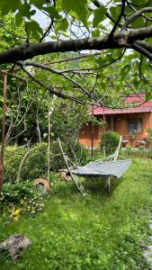 拉戈代希Ludwig Guesthouse的院子里草地上的吊床