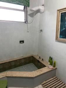 圣保罗Cantinho Allianz Parque的带浴缸的浴室和窗户