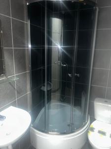 阿尔沃斯塔Davids Hotell的带淋浴、卫生间和盥洗盆的浴室