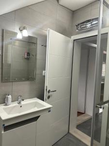 弗尔尼亚奇卡矿泉镇Apartment Holiday的浴室配有盥洗盆和带镜子的淋浴