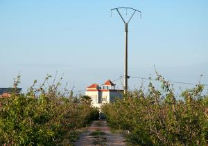 伊穆泽尔杜坎达Vila Haja - Beautiful Farmhouse with a Private Pool!的树中间的房子