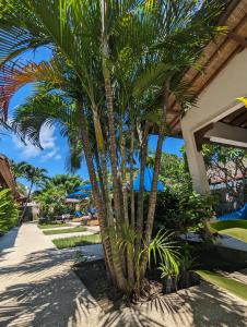 吉利特拉旺安青黛别墅酒店的度假村旁的棕榈树