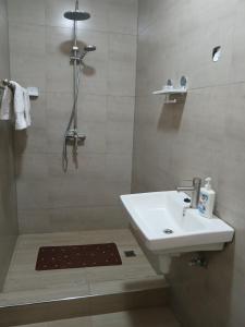 利隆圭FourPoints Lodge的白色的浴室设有水槽和淋浴。