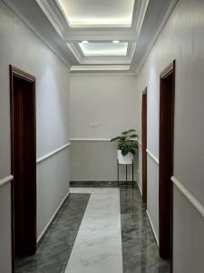 利隆圭FourPoints Lodge的一条带白色墙壁和盆栽的走廊