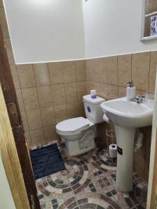 圣萨尔瓦多Gywel的一间带卫生间和水槽的浴室