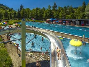 韦尔塔赫Alpine Lodge Comfortable holiday residence的游泳池,带水滑梯上的人