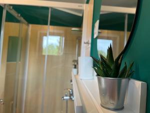 新戈里察Studio Apartma Olive, Nova Gorica, Slovenia的盆栽植物坐在浴室的台面上