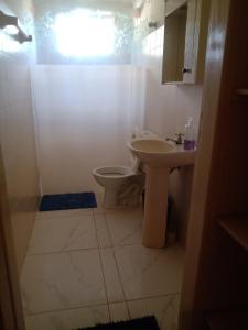 塞拉内格拉Campo dos Sonhos的一间带水槽和卫生间的浴室