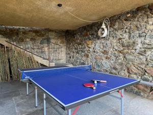 维韦罗内Cascina gnocca VIVERONE avventura的石墙房里的乒乓球桌