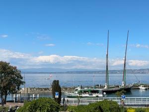 Appartement Le Ponton d'Evian平面图