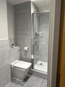 布伦特伍德Spacious, bright, modern flat的带淋浴、卫生间和盥洗盆的浴室