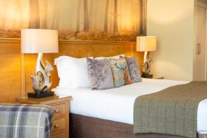 因弗内斯摩尔峡谷酒店的酒店客房,配有一张床和两盏灯