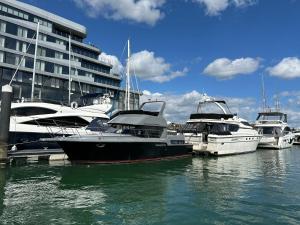 南安普敦YACHT "X" - 44 FOOT MODERN YACHT ON 5 STAR OCEAN VILLAGE MARINA - minutes away from city centre and cruise terminals, Free parking ,SPA package available!的一群船停靠在建筑物附近的水中