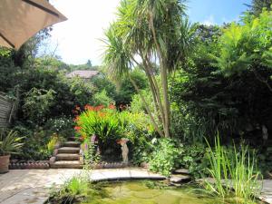 波洛克Hurlestone Apartment的花园,花园内有池塘,棕榈树和植物