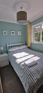 Saint BlazeyChy Lowen Private rooms with kitchen, dining room and garden access close to Eden Project & beaches的一间卧室设有一张蓝色墙壁的大床