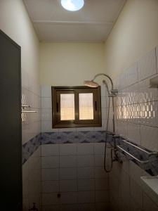 瓦加杜古Résidence lynda prestige Ouaga 2000的带淋浴的浴室和窗户。