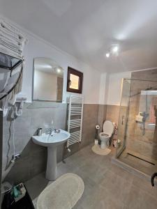 BiceştiRelax and Smile Rameț的一间带水槽、淋浴和卫生间的浴室