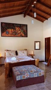 皮雷诺波利斯Brisa da Serra Hotel Pousada Pirenopolis的卧室配有一张床,墙上挂有绘画作品