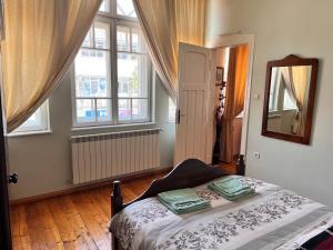 鲁塞Albert Guest House的一间卧室配有一张床、镜子和窗户
