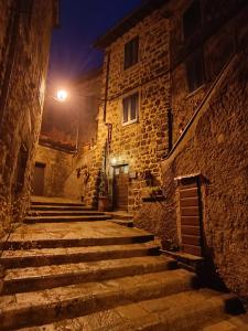 阿巴迪亚圣萨尔瓦托雷B&B La Castellina的一条晚上有街灯的小巷