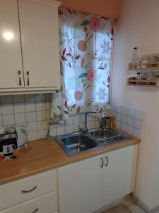 尼基亚娜Evi's house的厨房配有水槽和浴帘