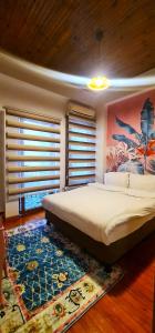 伊斯坦布尔DIMORA HOTEL的一间卧室配有一张大床和地毯。