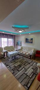 Kosovo PoljeRental house的带沙发和地毯的客厅