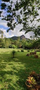 AvathiThe Sattva Nature Retreat的一片绿草丛,山地背景