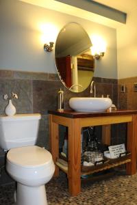 SandgateCabin in the Woods的一间带卫生间、水槽和镜子的浴室