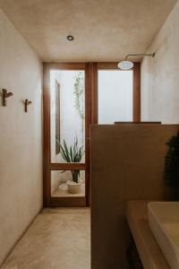 EspitaCasona los Cedros的一间带水槽的浴室和一个带盆栽的窗户