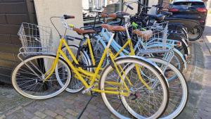 阿姆斯特丹Het Huis Met De Groene Deur的停在大楼旁边的一群自行车