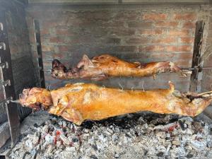 地拉那VILA DISHA的两只鸡在烤架上烹饪