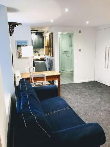 Basement Studio Flat Central Farnham free parking的休息区