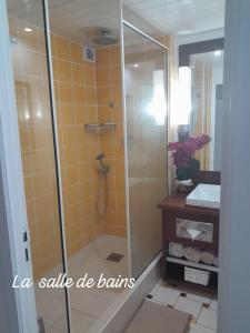 哥西尔La Case à Méline的带淋浴和盥洗盆的浴室