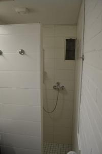西代希施特里希Ferienwohnung Skagen的带淋浴的浴室和玻璃门