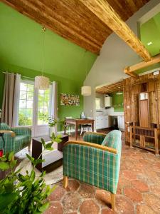 梅斯尼圣佩尔Les Cottages d'Orient Premium的客厅设有绿色的墙壁和沙发。