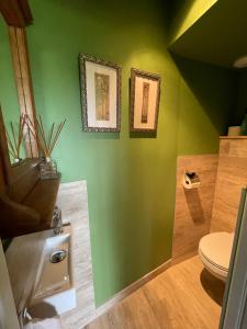 梅斯尼圣佩尔Les Cottages d'Orient Premium的一间带绿色墙壁和卫生间的浴室