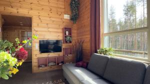 萨翁林纳Villa Kolovesi - Saimaa Retreat的带沙发和电视的客厅
