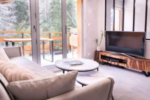 圣热尔韦莱班Studio cabine « Au Loup Blanc »的带沙发和电视的客厅