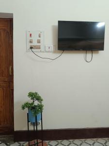 瓦拉纳西Stay At The Home的墙上的电视,前面有植物