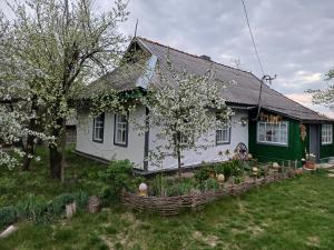 SubbotovМедова садиба的白色绿色的房子,前面有一个花园
