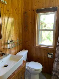 Tranquil private get away cottage in the woods的一间带卫生间、水槽和窗户的浴室