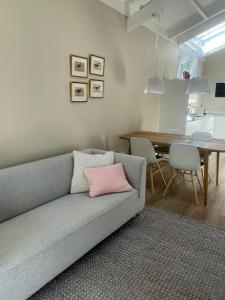 巴恩Huisje Hendrik的客厅配有带粉红色枕头的灰色沙发