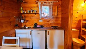 圣巴尔托洛梅CabanaLanz, Cabañas en Lanzarote的小屋内的厨房配有冰箱和水槽